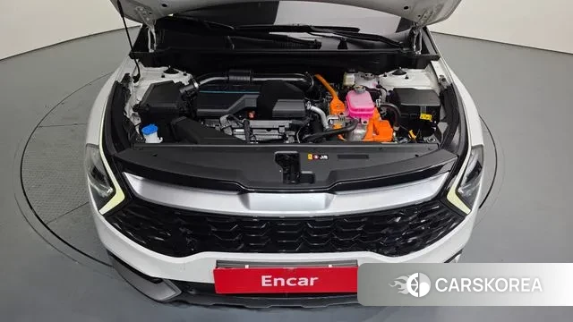 Kia Sportage 5th Generation Hybrid id 3533546 из Кореи 16