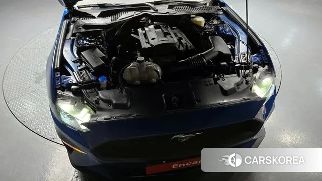 Ford Mustang id 3032079 из Кореи 16