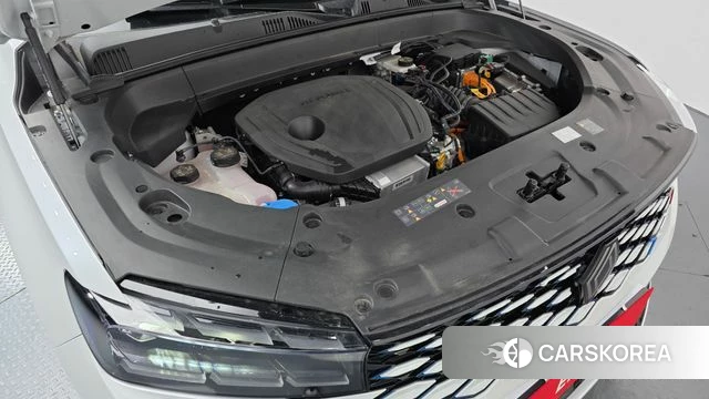 Renault Korea (Samsung) Grand Coleos id 3837978 из Кореи 16