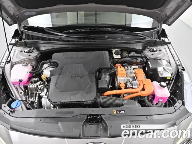 Hyundai Avante Hybrid (CN7) id 2854451 из Кореи 16