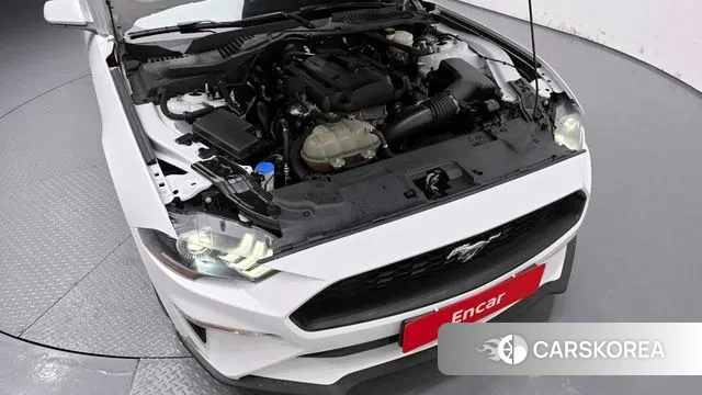 Ford Mustang id 3355410 из Кореи 16