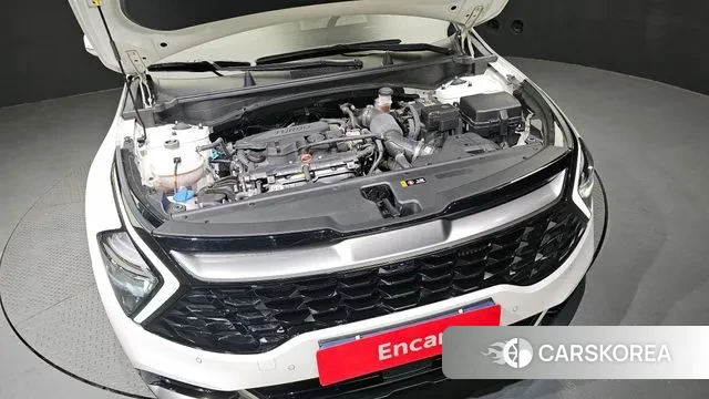 Kia Sportage 5th Generation id 3011388 из Кореи 16