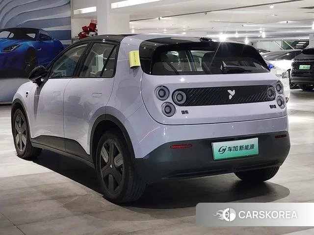 firefly firefly Unknown 2025 Фиолетовый из Китая, фото 6