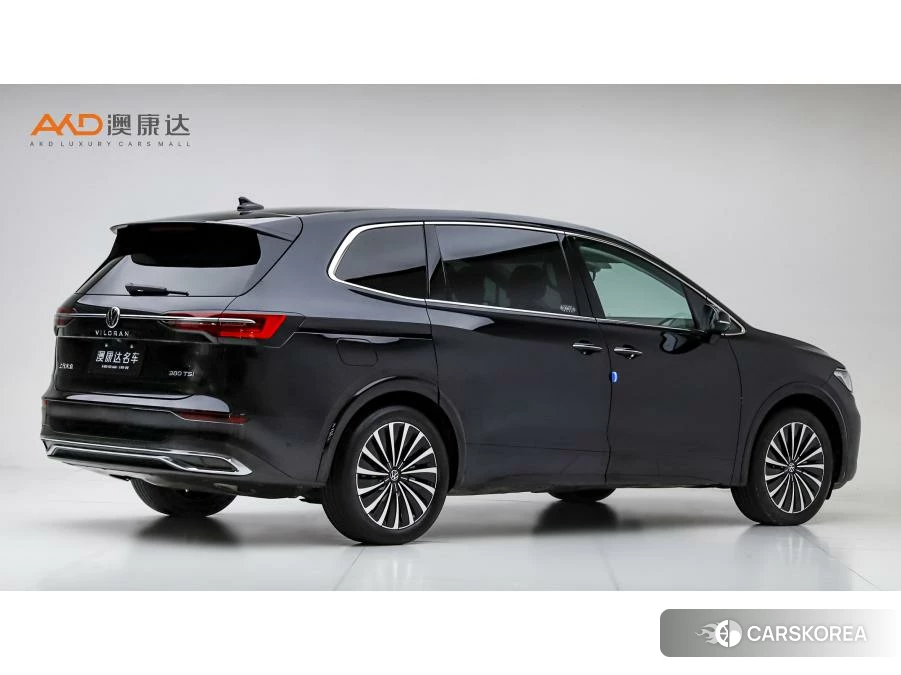 Volkswagen Viloran id 4454376 из Китая 7