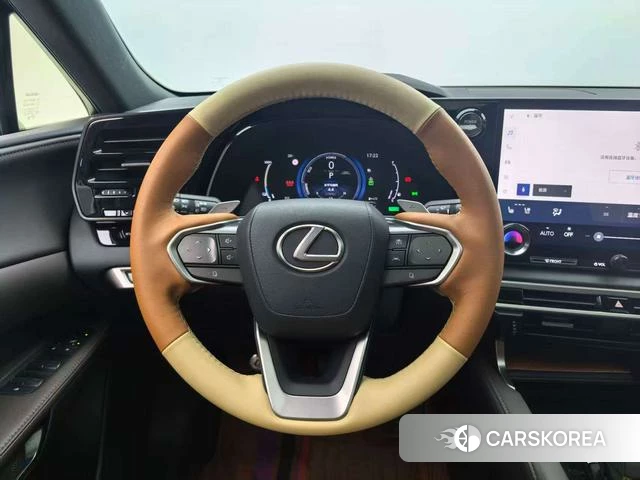 Lexus RX PHEV id 4277362 из Китая 12