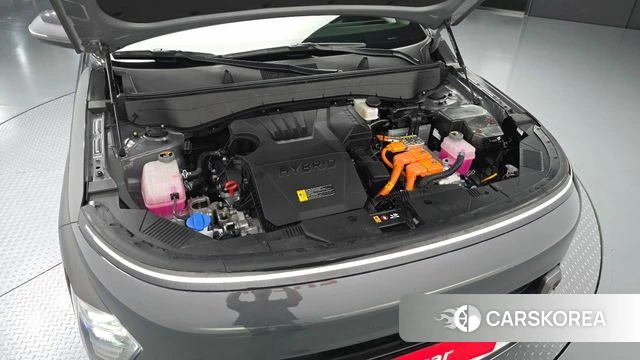 Hyundai Kona Hybrid (SX2) id 4280896 из Кореи 27