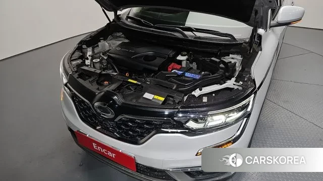 Renault Korea (Samsung) The New QM6 id 3615655 из Кореи 16