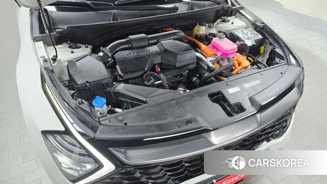 Kia Sportage 5th Generation Hybrid id 3599539 из Кореи 16