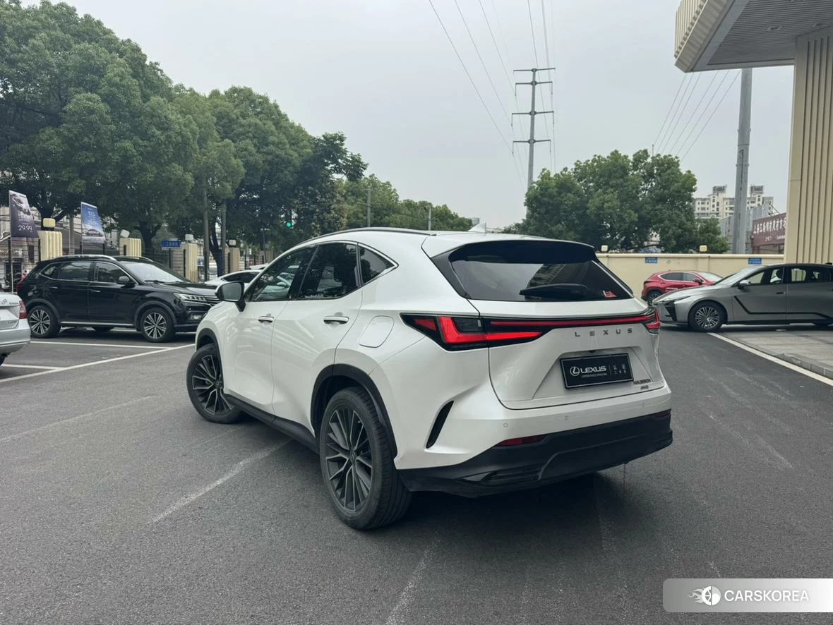 Lexus NX id 4467472 из Китая 9