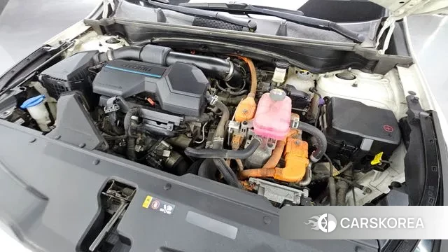 Kia Sportage 5th Generation Hybrid id 3493228 из Кореи 16