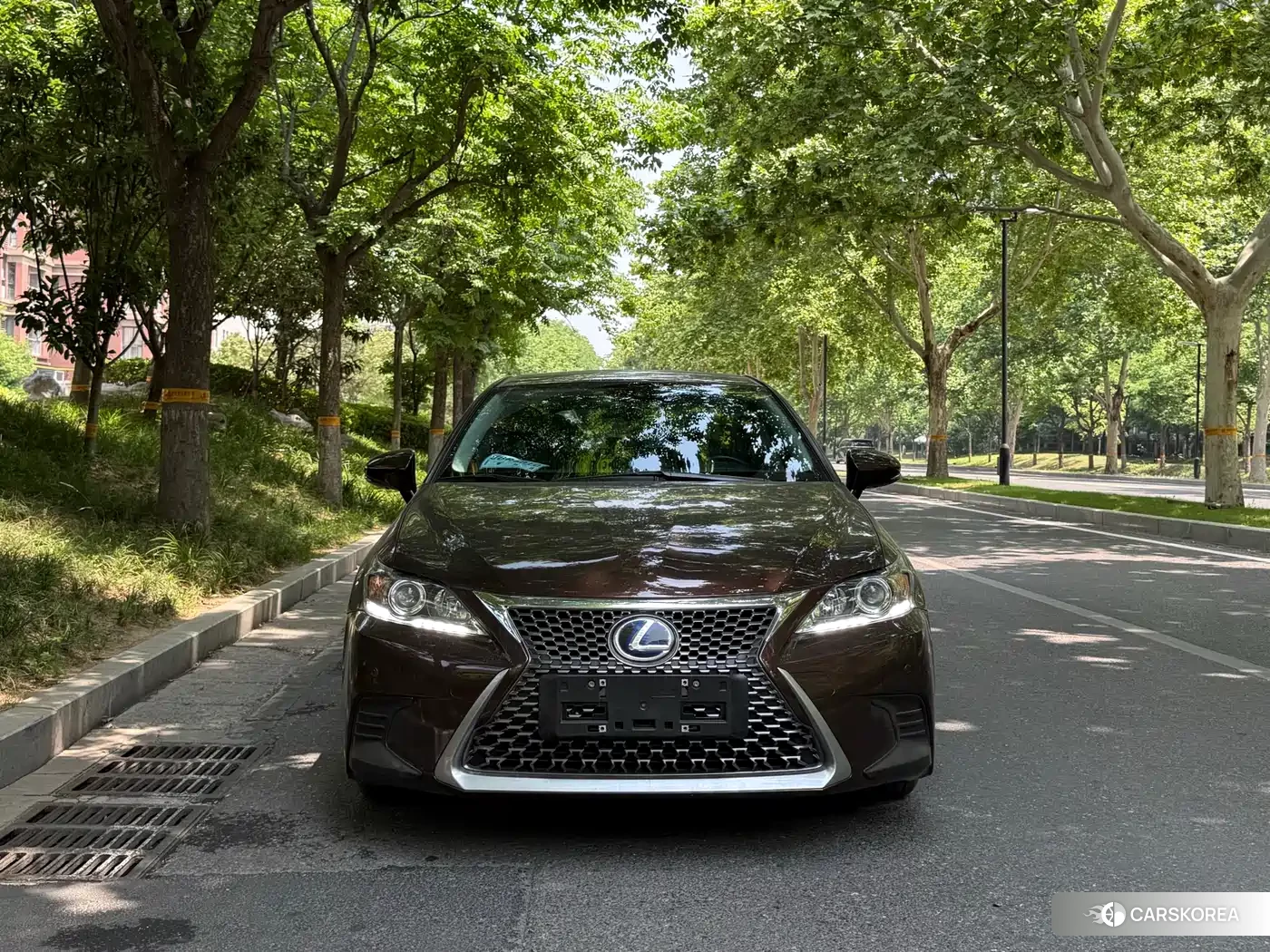 Lexus CT 2018 Champagne/brown из Китая, фото 6
