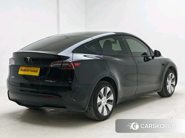 Tesla Model Y id 4216860 из Китая 16