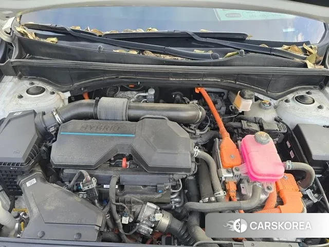 Kia Sorento 4th Generation 2023 Белый из Кореи, фото 6