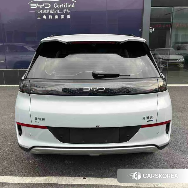 BYD Sea Lion 05EV 2025 Белый из Китая, фото 6