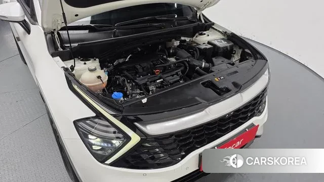 Kia Sportage 5th Generation id 3591834 из Кореи 16