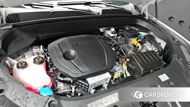 Renault Korea (Samsung) Grand Coleos id 3451884 из Кореи 16