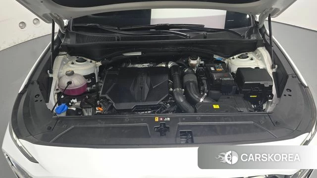 Hyundai The New Santa Fe id 4905020 из Кореи 29