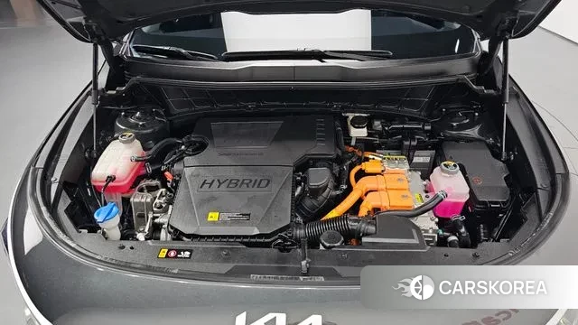 Kia Di Ol Nu Niro id 3268088 из Кореи 16