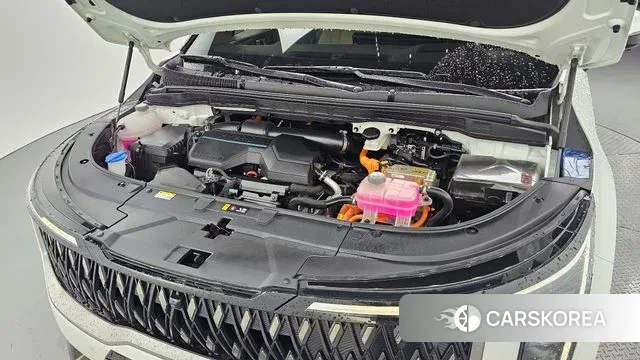 Kia The New Carnival 4th Generation id 3002249 из Кореи 16