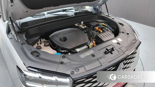 Renault Korea (Samsung) Grand Coleos id 4308115 из Кореи 26
