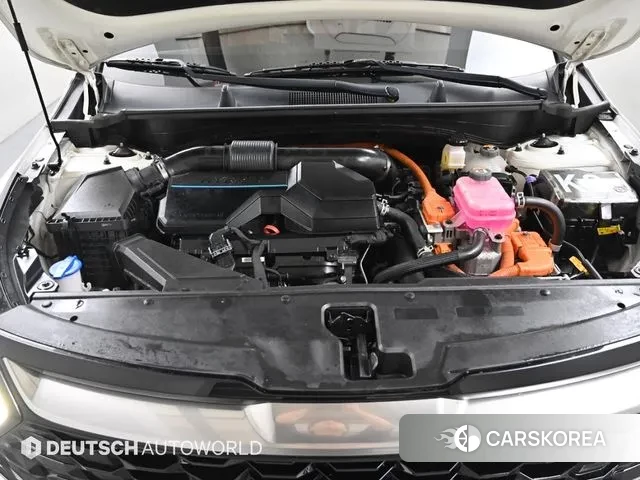 Kia Sportage 5th Generation Hybrid id 3448215 из Кореи 16