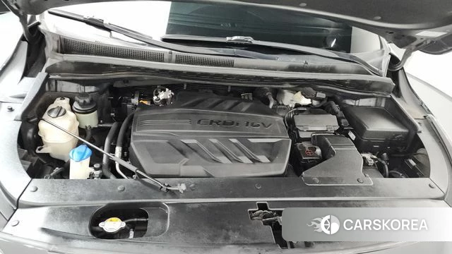 Kia The New Carnival id 4490734 из Кореи 30
