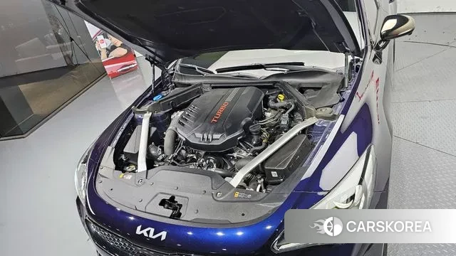 Kia Stinger Meister id 3561367 из Кореи 16