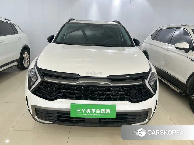 Kia Lion Platinum expands the world id 4262503 из Китая 8
