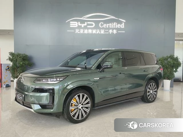 Denza N9 DM 2025 Другой из Китая, фото 6