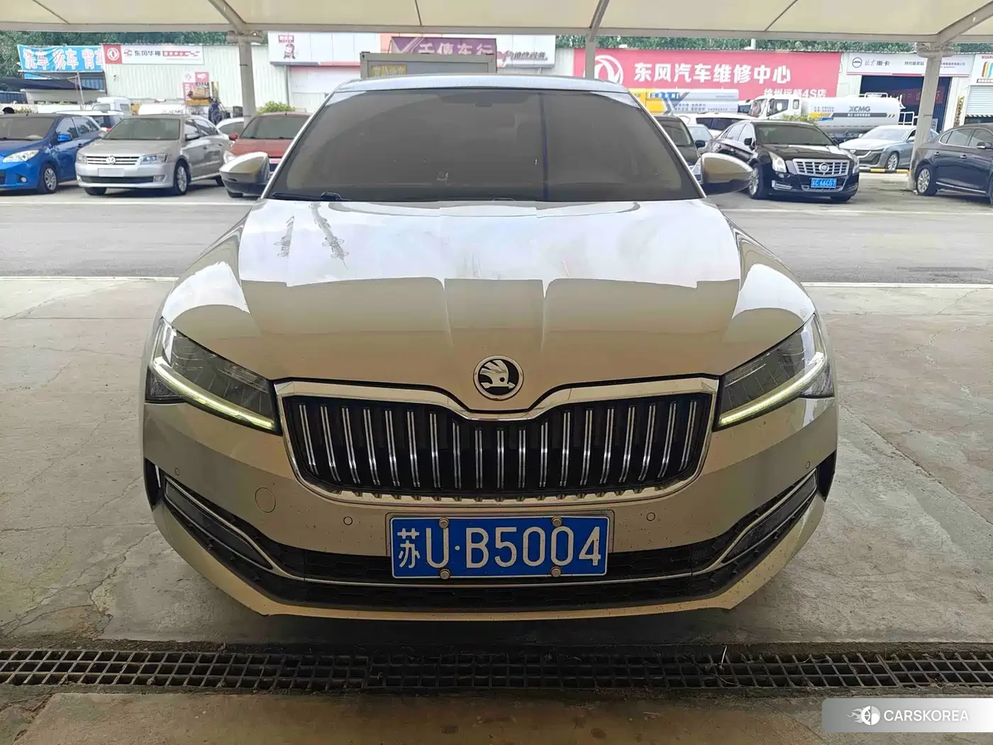 Skoda Speed pie id 4570581 из Китая 12