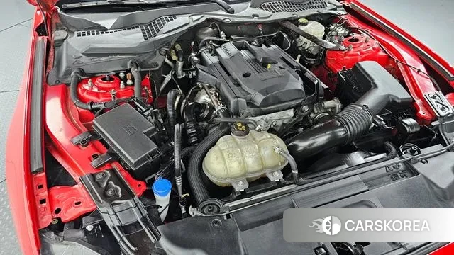 Ford Mustang id 3735175 из Кореи 16