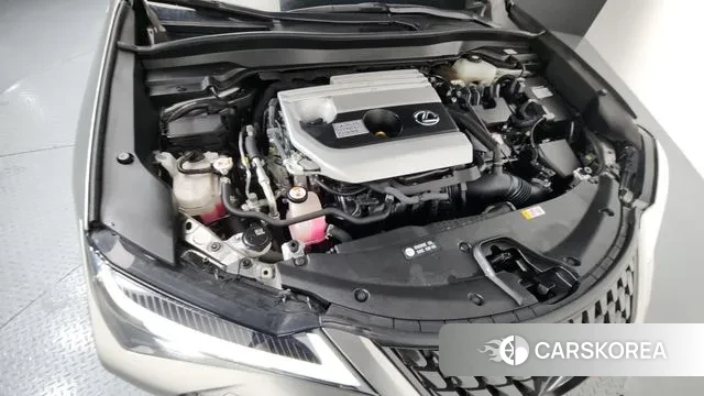 Lexus UX250h id 3630542 из Кореи 16