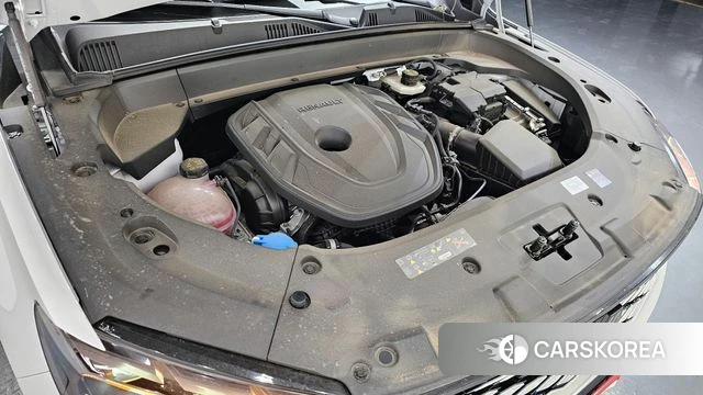 Renault Korea (Samsung) Grand Coleos id 3838014 из Кореи 16