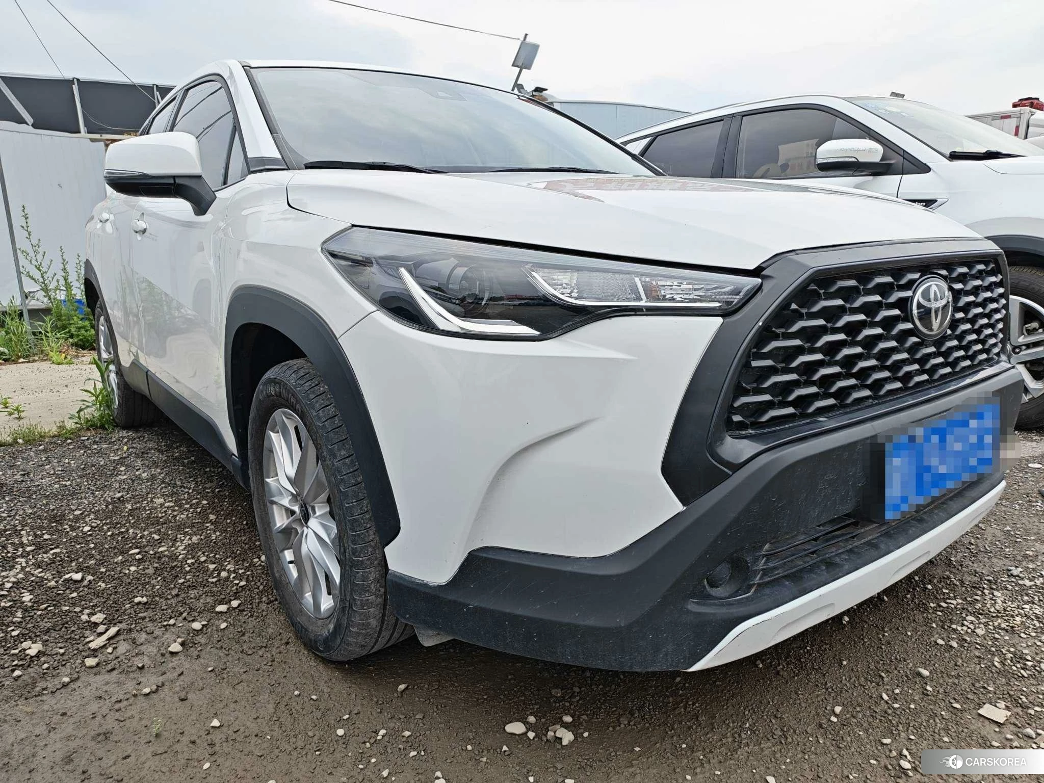 Toyota Corolla Sharp amplifier 2022 Белый из Китая, фото 6