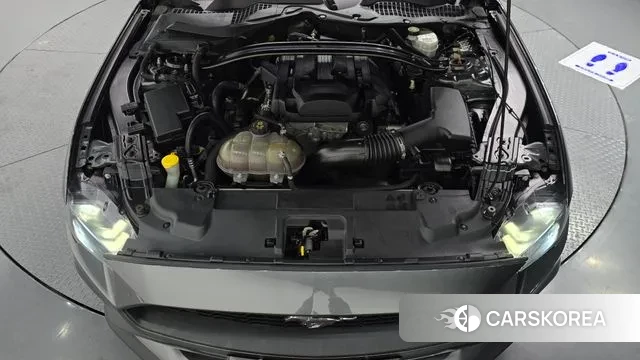 Ford Mustang id 3698805 из Кореи 16