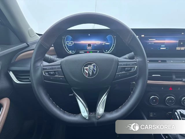 Buick Weilang id 4235018 из Китая 19