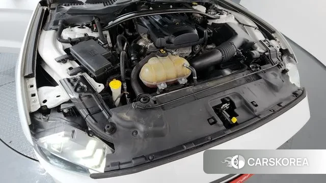 Ford Mustang id 3692286 из Кореи 16