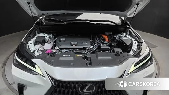 Lexus NX350h Second generation id 3388468 из Кореи 16