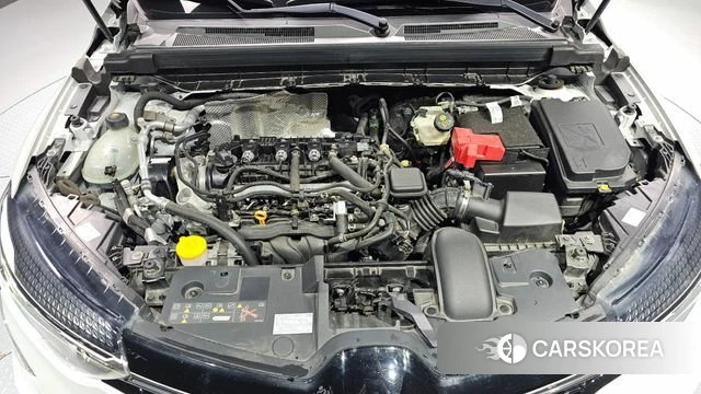 Renault Korea (Samsung) XM3 id 3859183 из Кореи 16