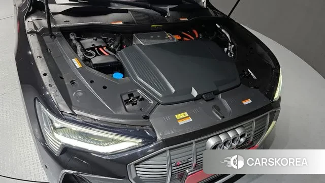 Audi e-Tron id 3597619 из Кореи 16