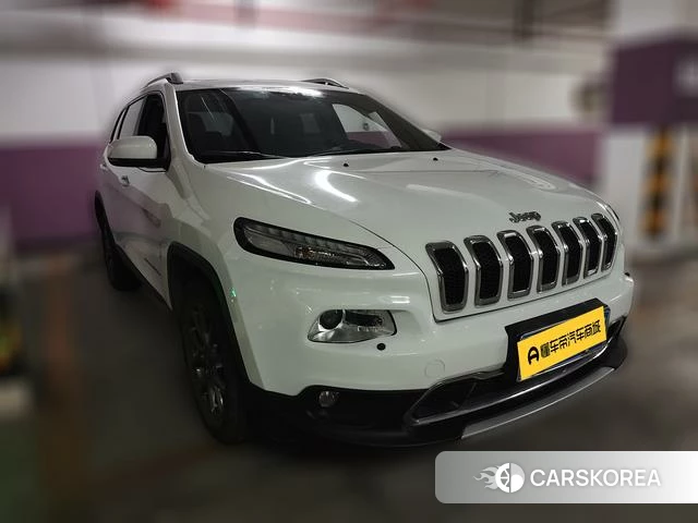 Jeep Free light 2021 Белый из Китая, фото 6