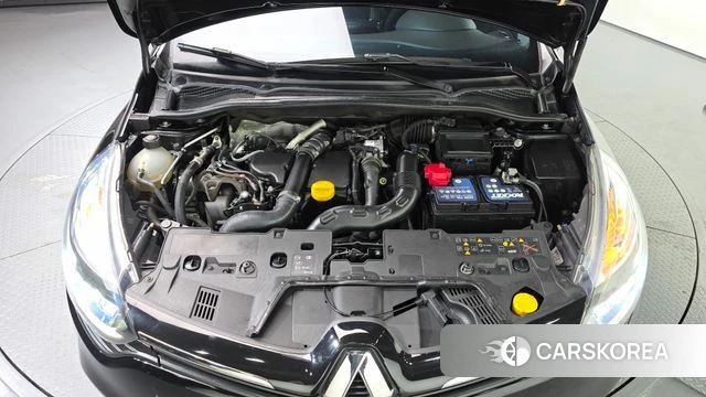 Renault Korea (Samsung) Clio id 4638213 из Кореи 29