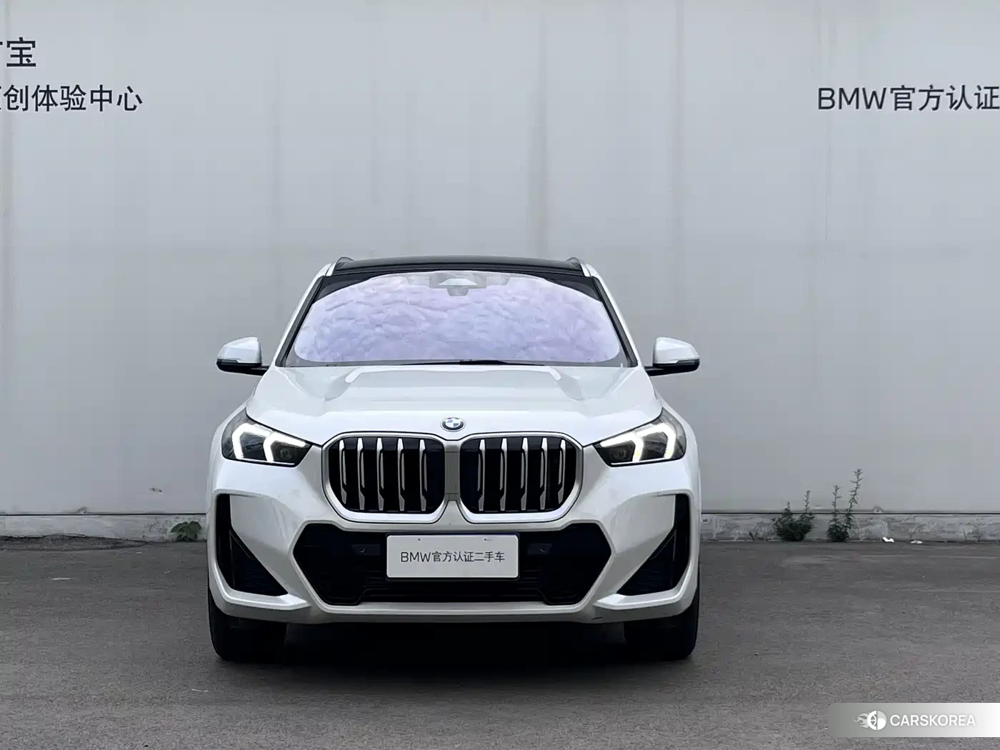BMW X1 id 4653826 из Китая 12