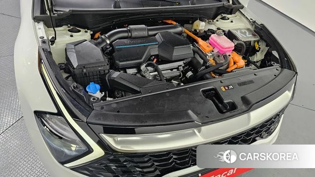 Kia Sportage 5th Generation Hybrid id 3941258 из Кореи 16