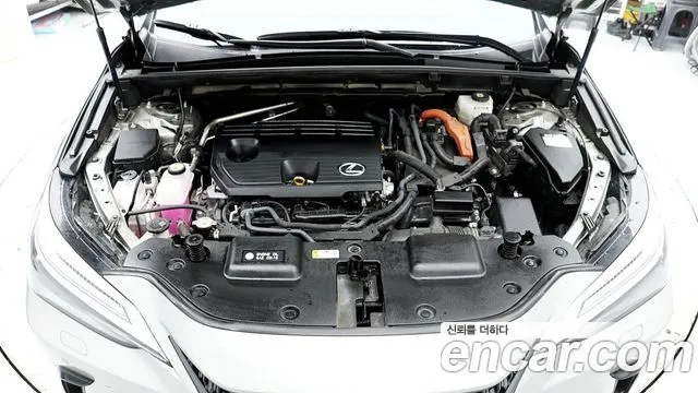 Lexus NX350h Second generation id 2657124 из Кореи 16