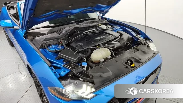 Ford Mustang id 3094640 из Кореи 16