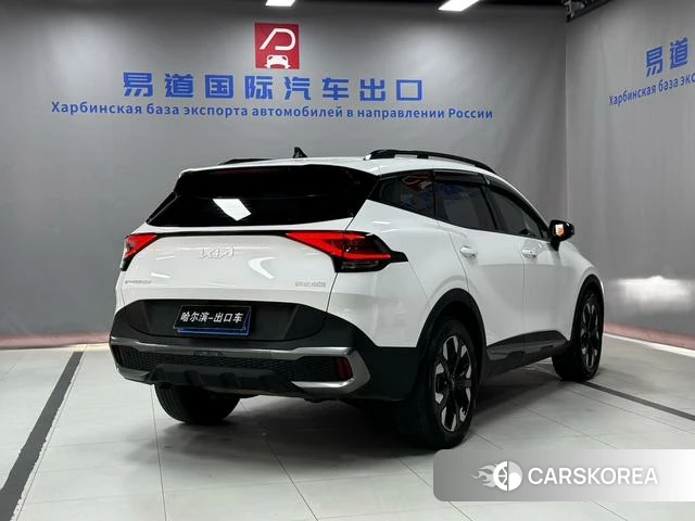 Kia Lion Platinum expands the world id 4209049 из Китая 19