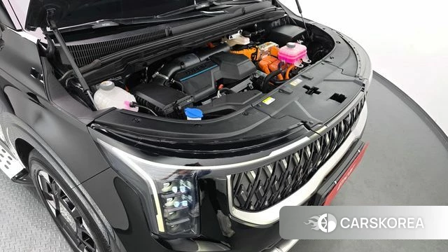 Kia The New Carnival 4th Generation id 4408377 из Кореи 16