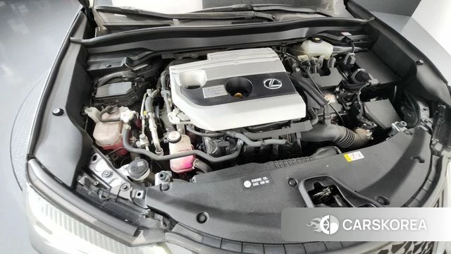 Lexus UX250h id 3860715 из Кореи 16