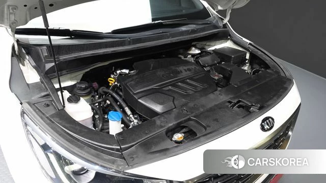 Kia The New Carnival id 3965890 из Кореи 16